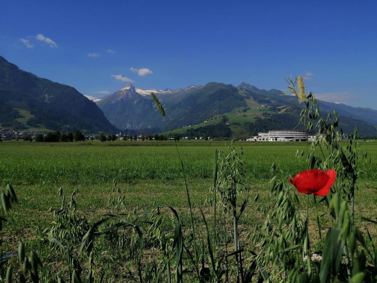 Alm Appartements Zellamsee Zell am See Zewnętrze zdjęcie